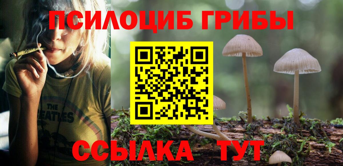 Галлюциногенные грибы Psilocybine cubensis Учалы